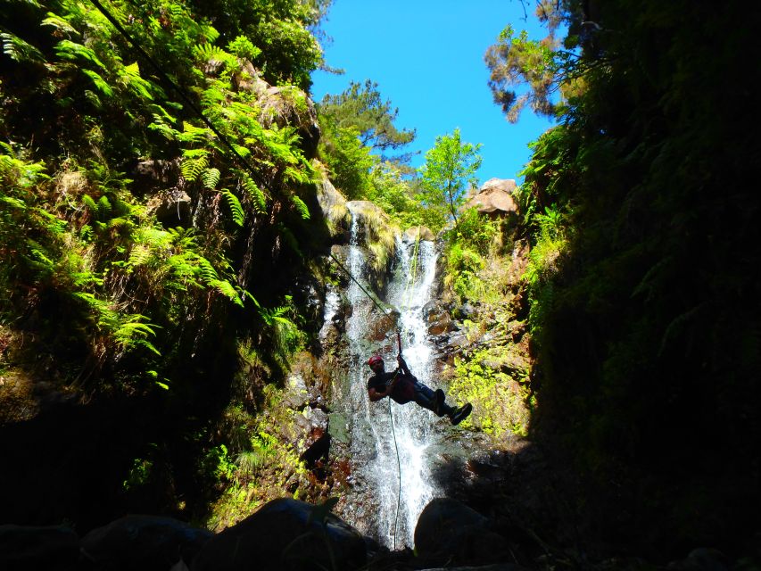 Beginner Canyoning Madeira - Key points to know before booking