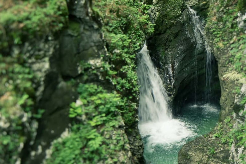 Bled: Triglav National Park Canyoning Adventure with Photos - Photos that preserve the wet, wild moments