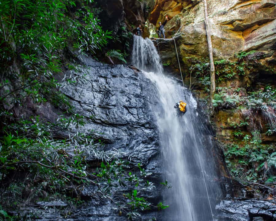 Blue Mountains: Abseiling and Canyoning Experience - Who should book this experience