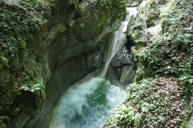 Canyoning discovery 3h in Aix les bains / Chambéry: Ternèze - What you are paying for at $71.20