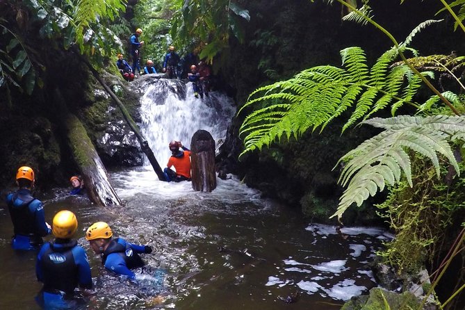 Canyoning Experience at Ribeira Grande - Entering Ribeira Grande’s spring-fed canyon