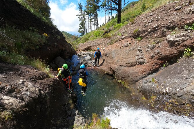 Canyoning in Madeira Island- Level 1 - Is $78.60 good value?