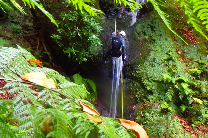 Canyoning Madeira Island - Level One - Is $80.69 good value?