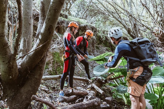 Canyoning with Waterfalls in the Rainforest - Small Groups ツ - Is $102.19 good value?