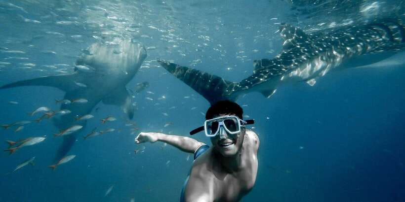 Cebu City: Whale Shark Swimming & Kawasan Falls Canyoneering - Shared or private, which version makes sense?