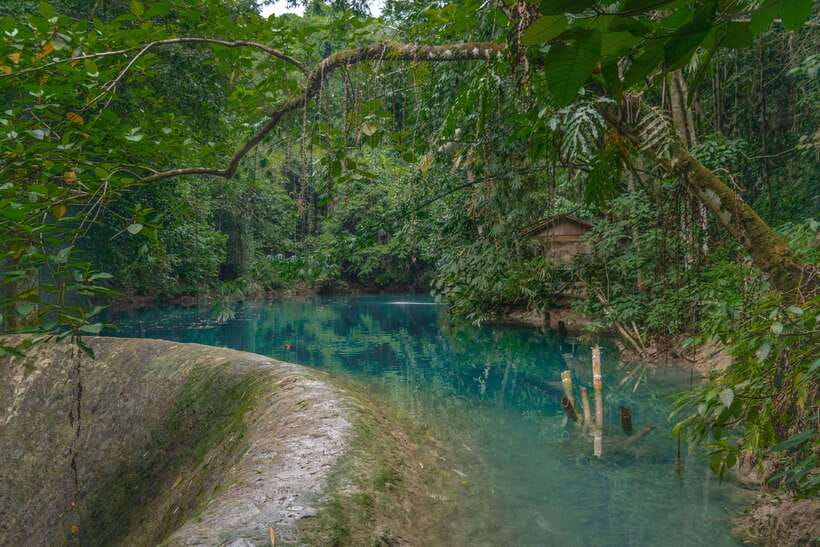 Cebu: Kawasan Falls Canyoneering & Cliff Jump Private Tour - Who should book this Cebu adventure?