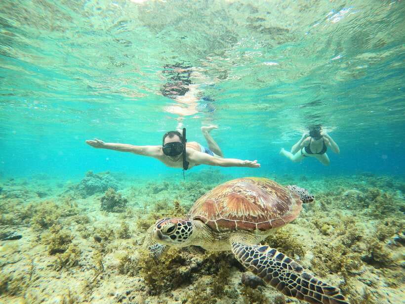 Cebu: Moalboal Sardines Run Snorkel & Kawasan Canyoneering - Lunch in Badian breaks up the action