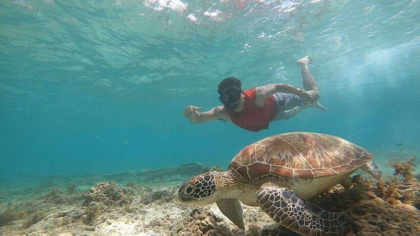 Cebu: Moalboal Sardines Run Snorkel & Kawasan Canyoneering - Guides make the difficult parts manageable