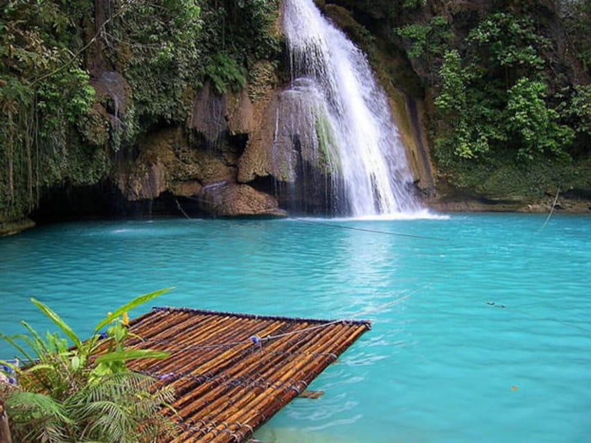 Cebu: Moalboal Sardines Run Snorkel & Kawasan Canyoneering - Who should book this Cebu adventure?