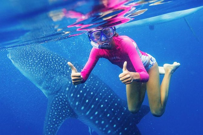 Cebu: Oslob Whale Shark Swimming and Kawasan Falls Canyoneering - Two Cebu adventures packed into one day