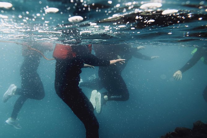 Coasteering - Key points to know before booking