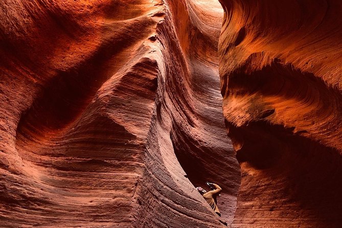 East Zion 2.5 Hour Slot Canyon Canyoneering UTV Tour - Key points at a glance