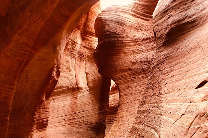 East Zion 2.5 Hour Slot Canyon Canyoneering UTV Tour - The guides make the difference