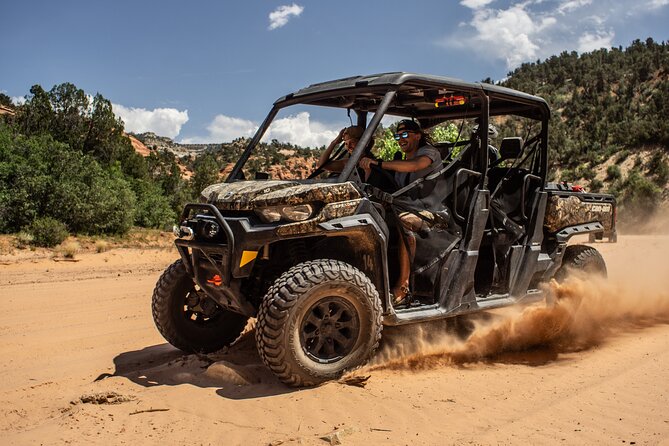 East Zion 4 Hour Slot Canyon Canyoneering UTV Tour - Why Ladder Canyon is the main event