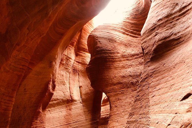 East Zion 4 Hour Slot Canyon Canyoneering UTV Tour - Sugar Knoll and the character of East Zion