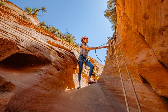 East Zion: Coral Sands Half-day Canyoneering Tour - Rappelling up to 100 feet