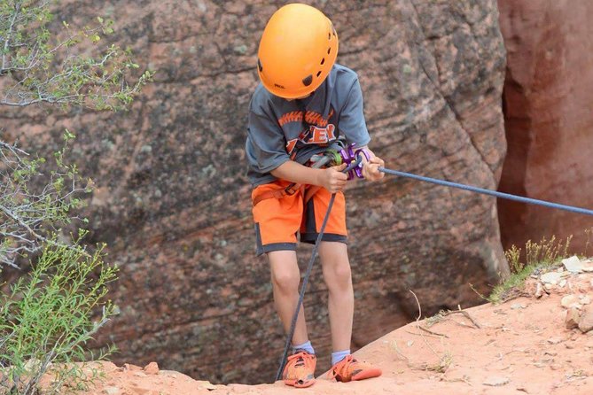 East Zion: Coral Sands Half-day Canyoneering Tour - What the $177.58 price includes in practical terms