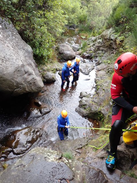 From Funchal: Madeira Island Canyoning for Beginners - Waterfalls, slides, and optional jumps