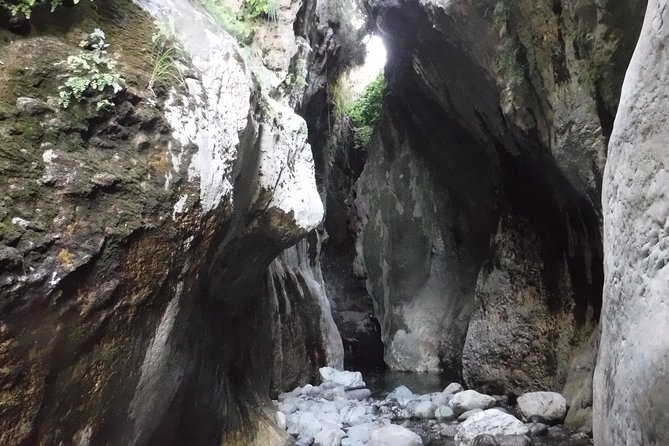 From Marbella: Canyoning Tour in Guadalmina Canyon - How hard is it for families and beginners?