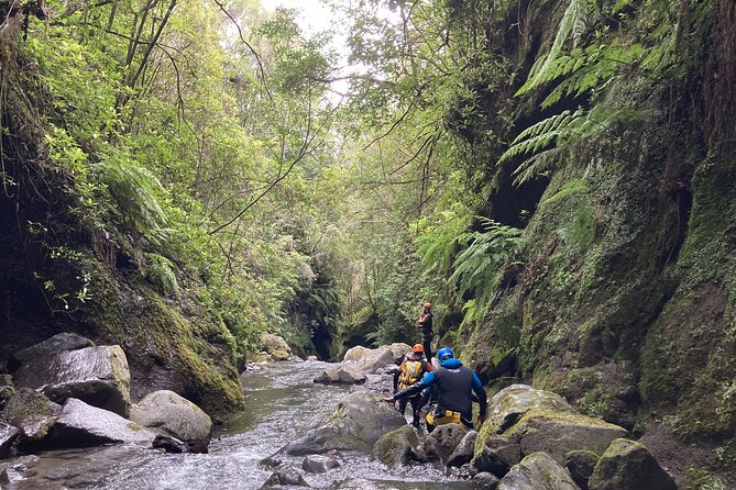 Funchal: Half-day Beginners Canyoning - Entering Ribeira by rope, slide, and jump