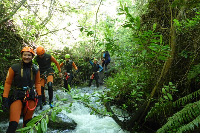 Half-Day Canyoning in Gibbston Valley from Queenstown - What the two-hour canyon section involves