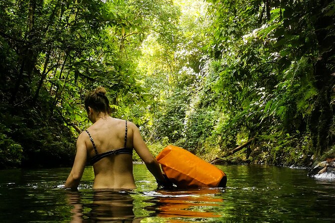 Jungle Hike with Canyoning and Rappelling in Drake Bay - A rainforest day built around waterfalls