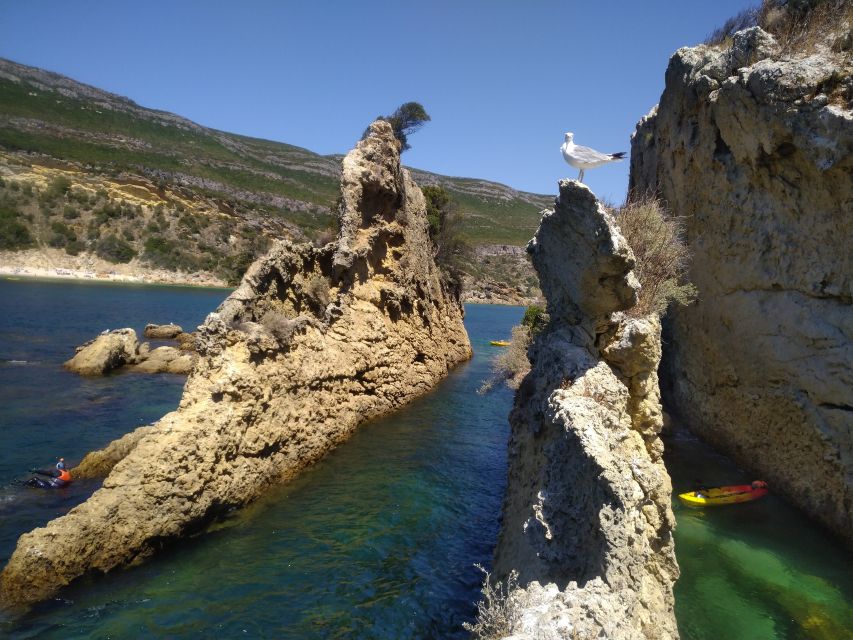 Lisbon: Arrábida Kayak and Coasteering Adventure Tour - A proper beach picnic, not just a snack break