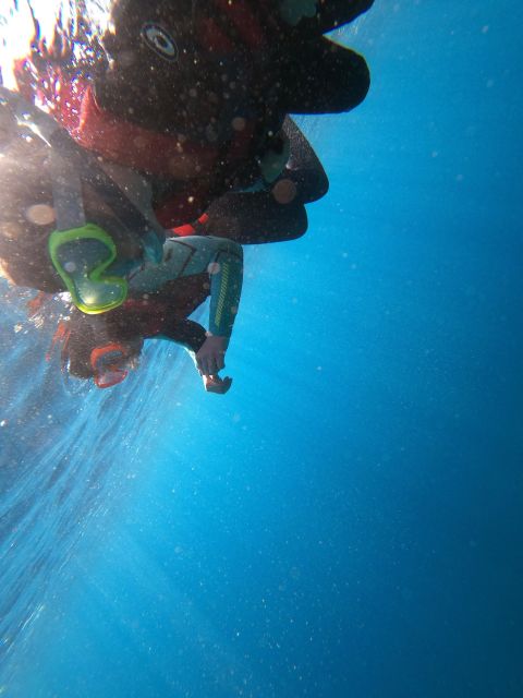 Madeira: Coasteering Tour - Key points to know before you book