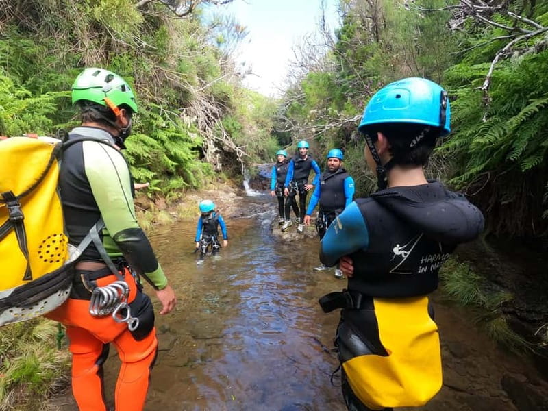 Madeira : Ribeira das Cales Canyoning (Level 1) - A gentle first canyoning route in Madeira