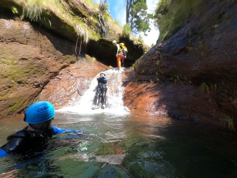 Madeira : Ribeira das Cales Canyoning (Level 1) - Getting ready at Funchal Ecological Park
