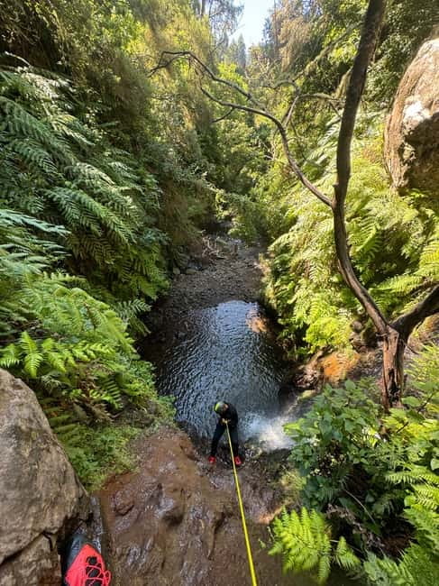 Madeira Short Canyoning For Beginners Rochão Level 1 - The Ecological Park adds mountain scenery close to Funchal