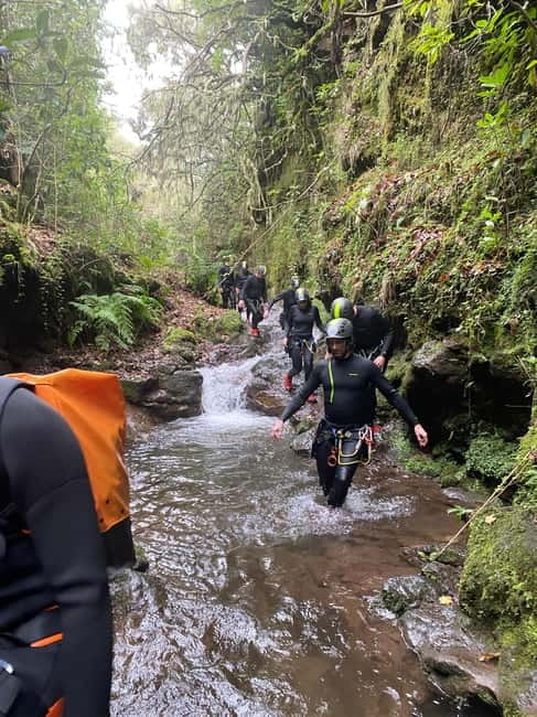 Madeira Short Canyoning For Beginners Rochão Level 1 - Should you book the Rochão beginner canyoning tour?