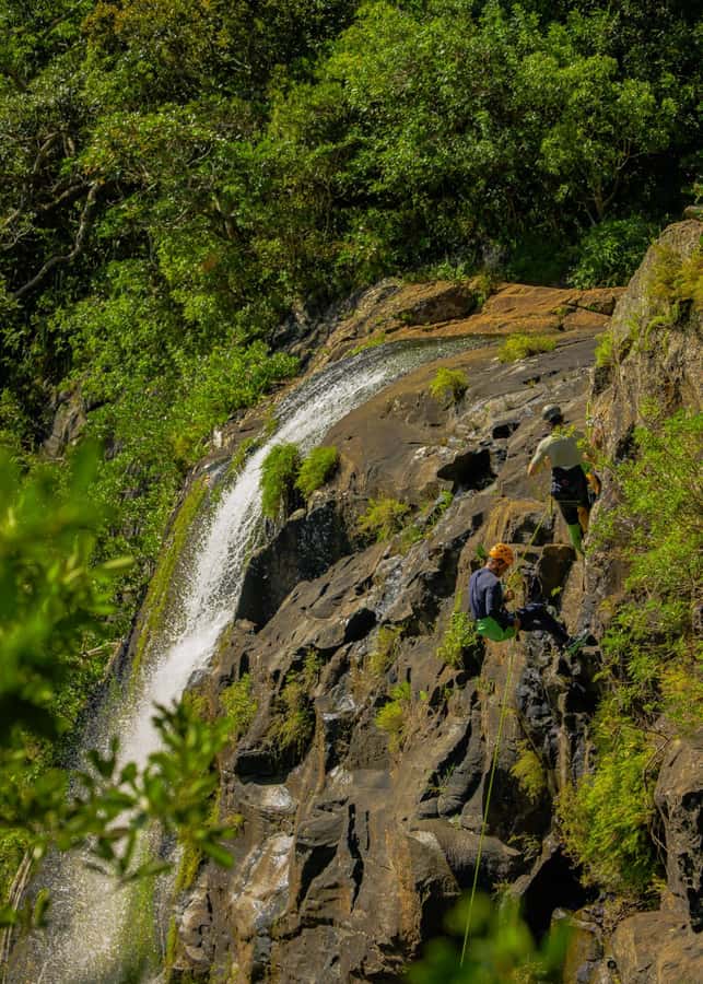 Mauritius: Tamarind Falls Canyoning Adventure - What the $88 price includes