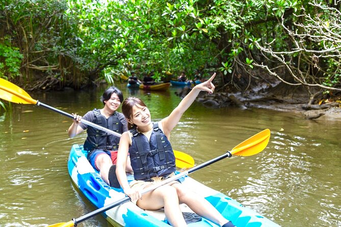 Okinawa Iriomote Mangrove SUP or Canoe and Splash Canyoning Tour - What the $99.10 price covers