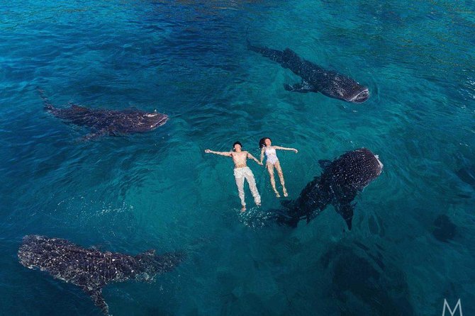 Oslob Whale Shark & Tumalog Falls & Kawasan Falls Canyoneering - Tumalog Falls provides a gentler pause