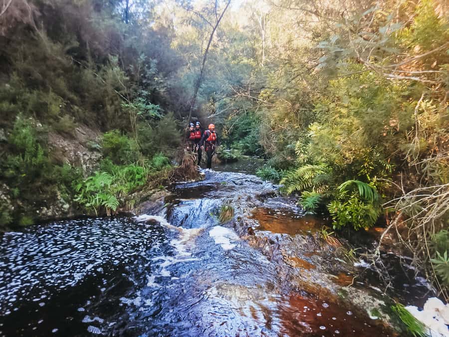 Plettenberg Bay: Canyoning Trip - Key points for your Plettenberg Bay canyoning day
