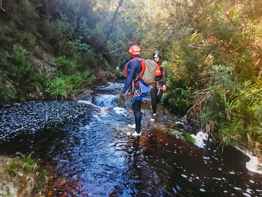 Plettenberg Bay: Canyoning Trip - Why the scenery deserves your attention