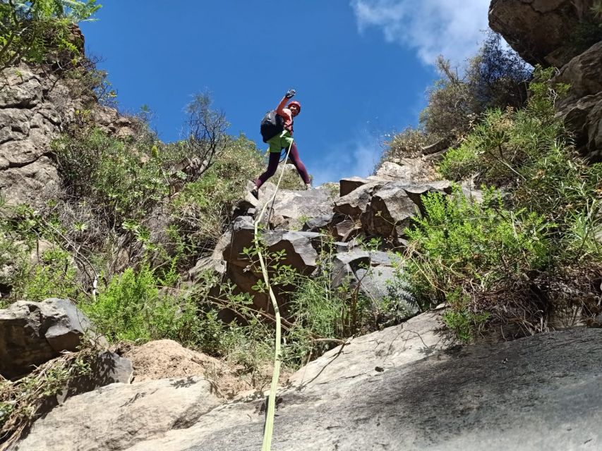 Santa Cruz de Tenerife: Vilaflor Canyoning Tour - The 35-minute return through Canary pines