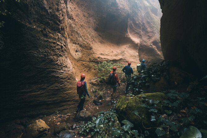 Small-Group Half-Day Canyoning in La Orotava - What the $96.55 price gets you