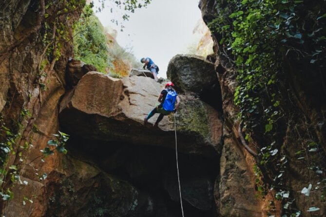 Small-Group Half-Day Canyoning in La Orotava - Who should book this canyoning trip