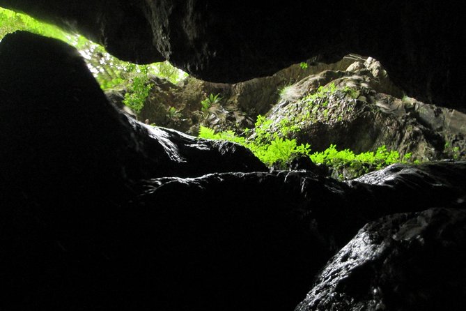 Standard Canyoning Trip in The Crags, South Africa - What the $60.68 price really covers