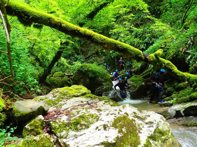 Talloires: Guided Canyoning Experience in Angon Canyon - Practical advice for a smoother morning