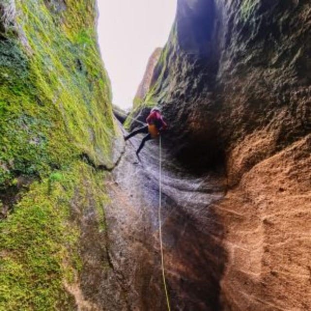 Tenerife: Guided Canyoning Experience in Los Arcos - Rappelling down seven different walls