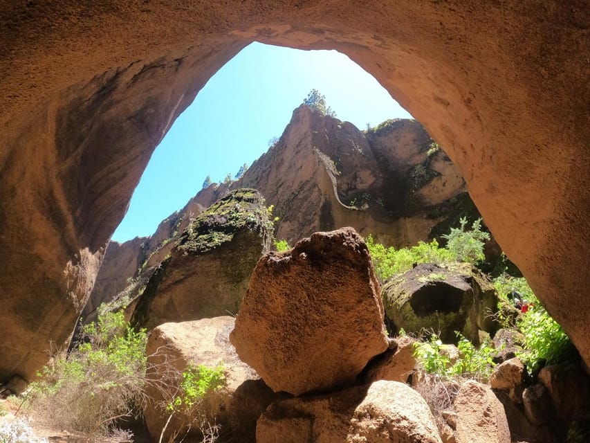 Tenerife: Guided Canyoning Experience in Los Arcos - What the guide adds beyond rope work