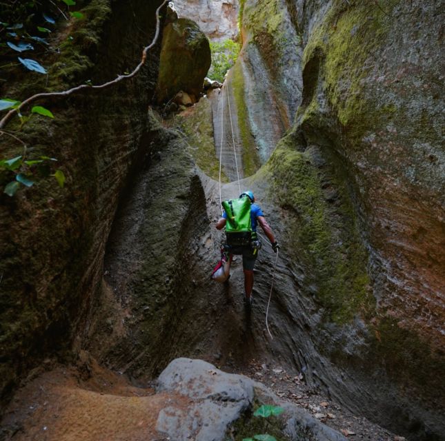 Tenerife: Los Arcos Canyoning Tour with Guide - Key points at a glance
