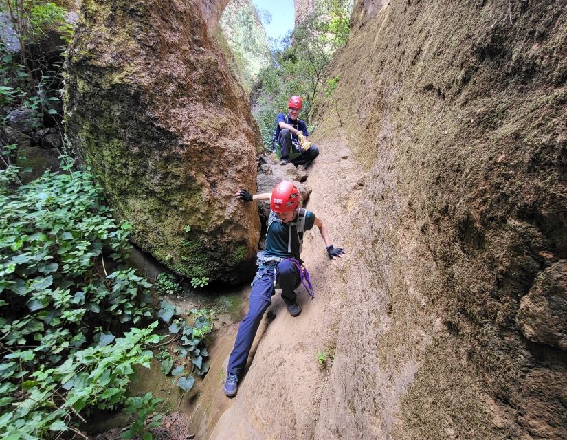 Tenerife: Los Arcos Canyoning Tour with Guide - What Jorge adds to the outing