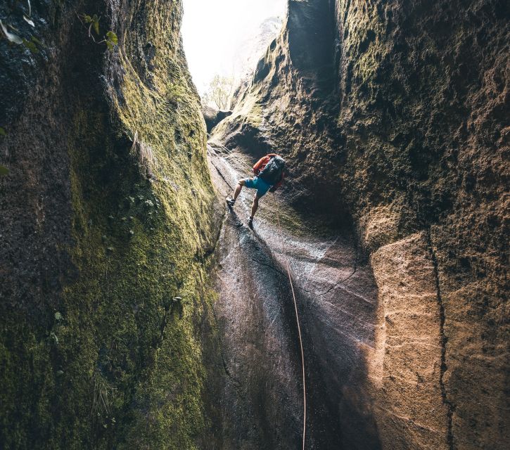 Tenerife: Los Arcos Canyoning Tour with Guide - The final walk back to Aguamansa