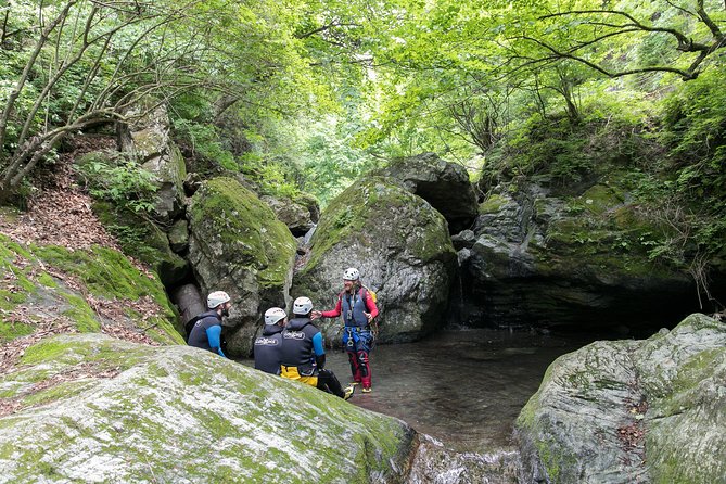 Tokyo Half-Day Canyoning Adventure - Rappels, cliff jumps, and natural waterslides
