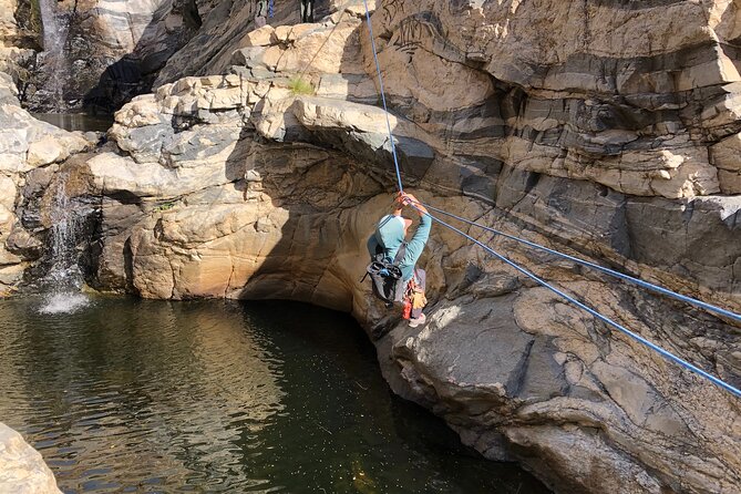 Tucson Half Day Rock Climbing or Canyoneering in Arizona - Tanque Verde Canyon: Cactus, Rappels, and Water Levels