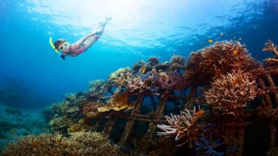 Ubud: Tegenungan Waterfall, Snorkeling, and Canyoning Tour